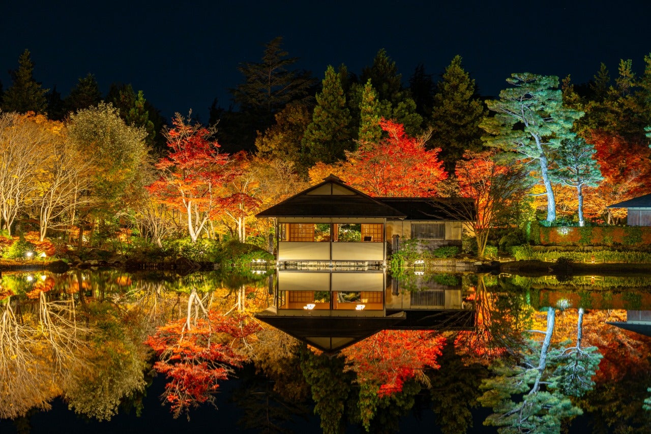国営昭和記念公園／提供画像
