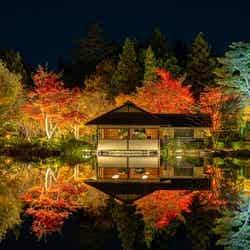 国営昭和記念公園/提供画像