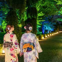 NAKED meets 二条城 2025 夕涼み/提供画像