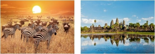 タンザニア、カンボジア／画像提供：AAE Japan