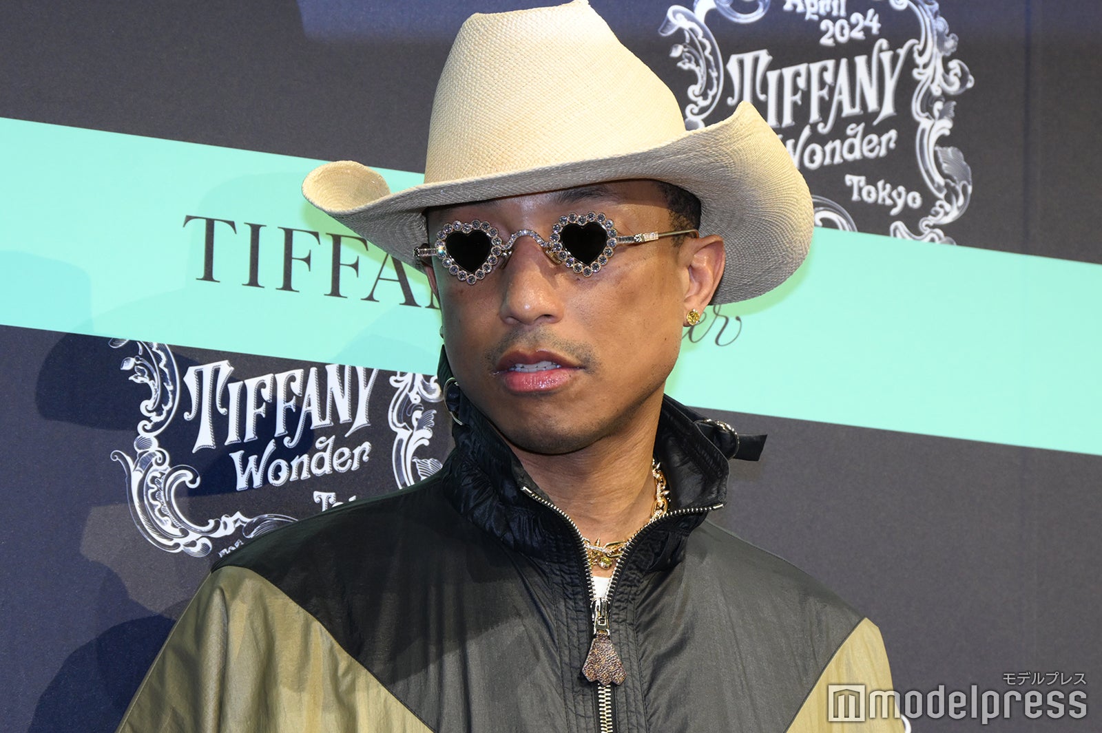 TIFFANY & CO. ラウンドシェイプ サングラス ティファニーサングラス4190 (Tiffany sunglasses canada