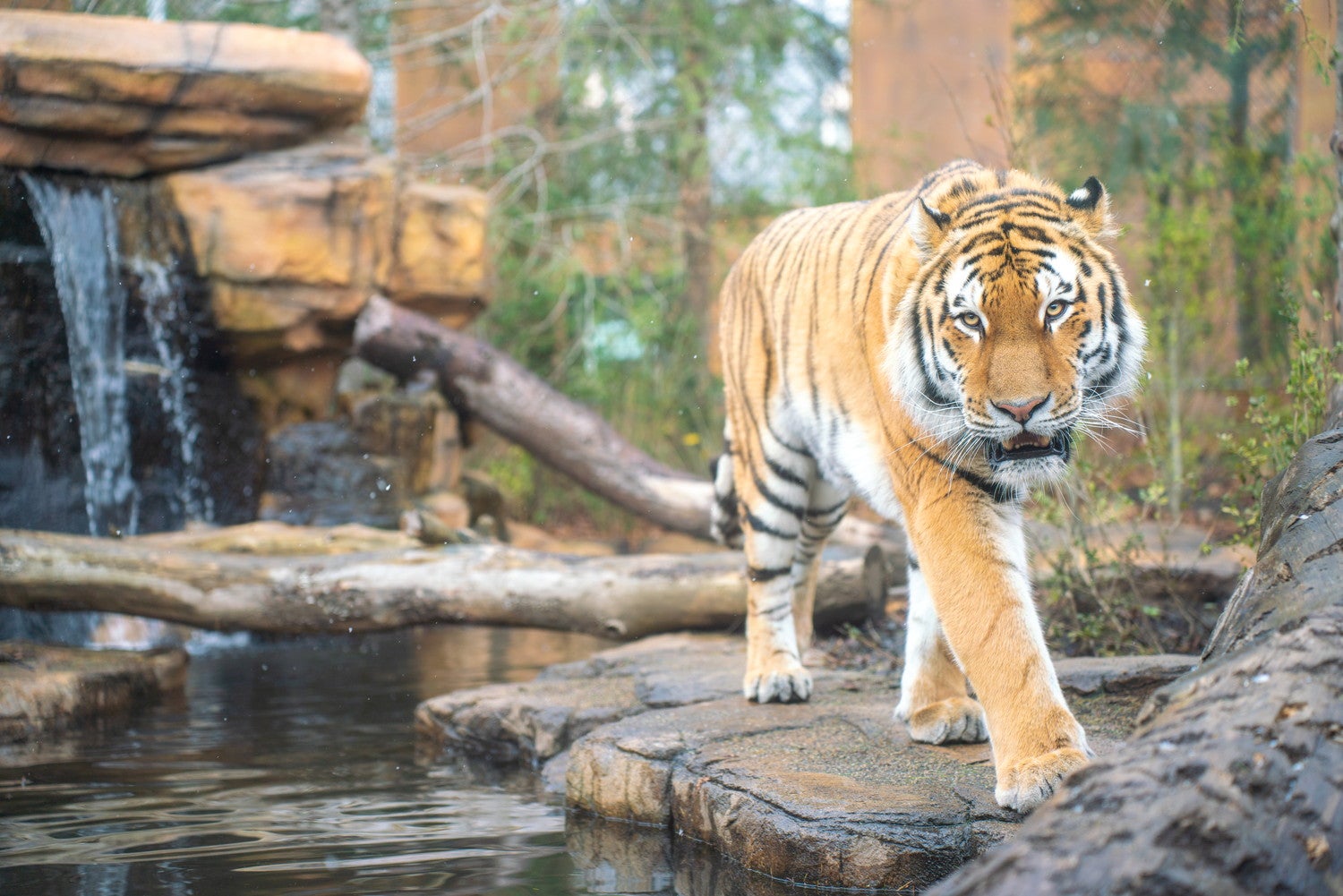 那須どうぶつ王国／提供画像