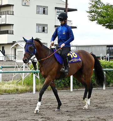 安田記念7着のレーベンスティールは南部杯を目標に 出走なら初のダート