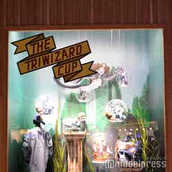 炎のゴブレット/ワーナー ブラザース スタジオツアー東京 – メイキング・オブ・ハリー・ポッター(C)モデルプレス