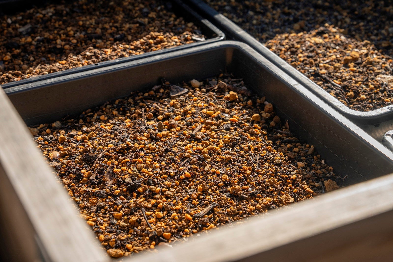 焼酎かすやコーヒーかすを用いたたい肥／提供画像