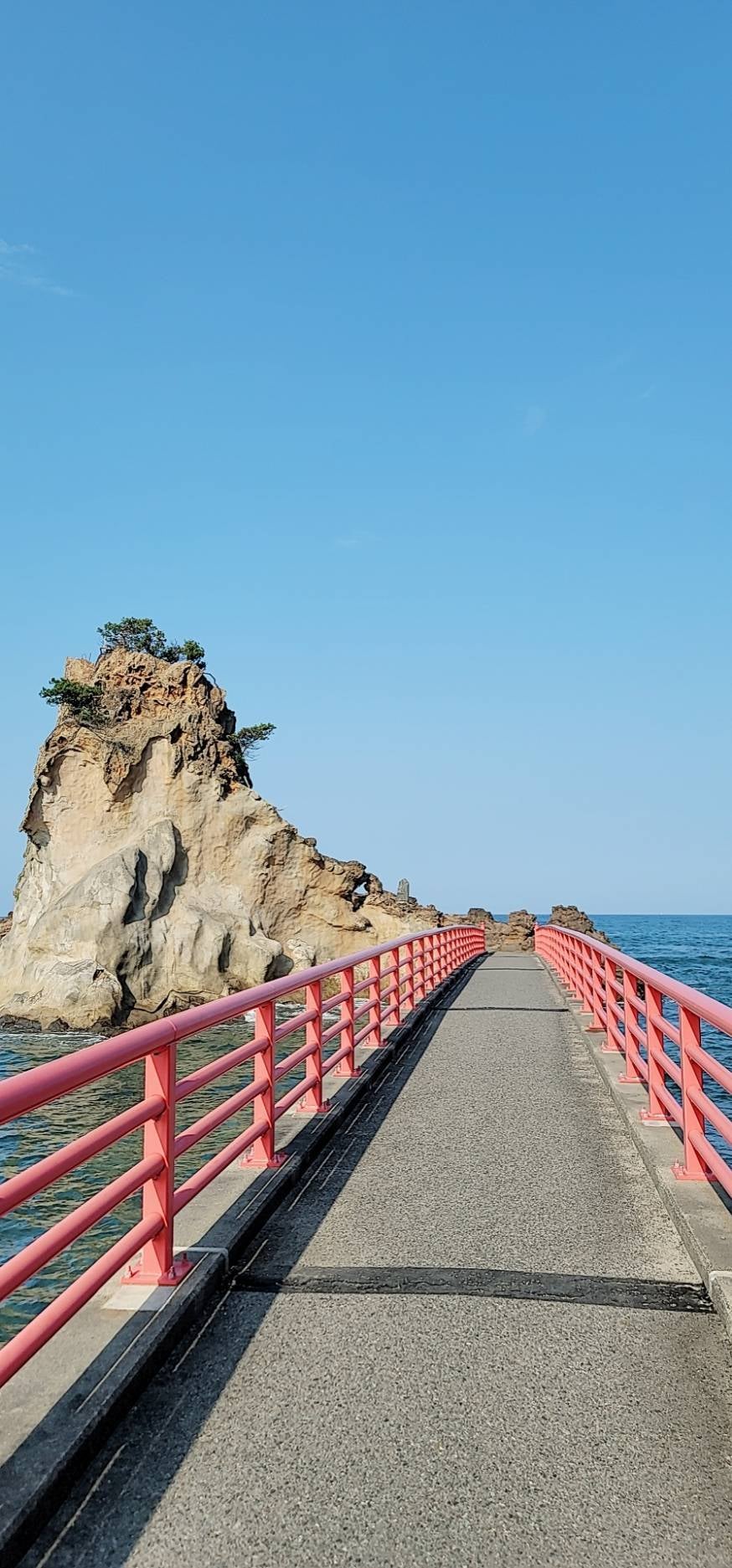 郡司陸永「最高の夏の思い出」（提供写真）
