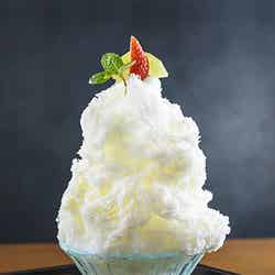 『生粋(なまいき)/画像提供:an まかないフェスPR事務局