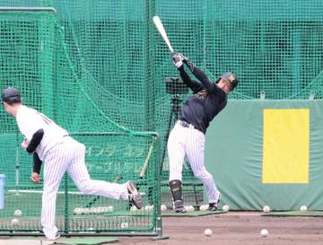 【野球】阪神の雨天中止禍は本当にマイナスなのか 過密日程が予想されるシーズン終盤 リーグ連覇への支障となるのか