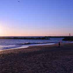 会瀬鹿島神社/提供画像