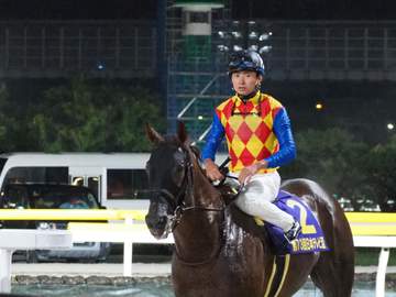 【地方競馬】日本テレビ盃 テーオーマルコーニは初重賞挑戦で善戦の2着 岩田望は将来に期待「来年以降も頑張ってくれると思う」