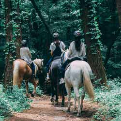 THE NATURE 八ヶ岳/提供画像