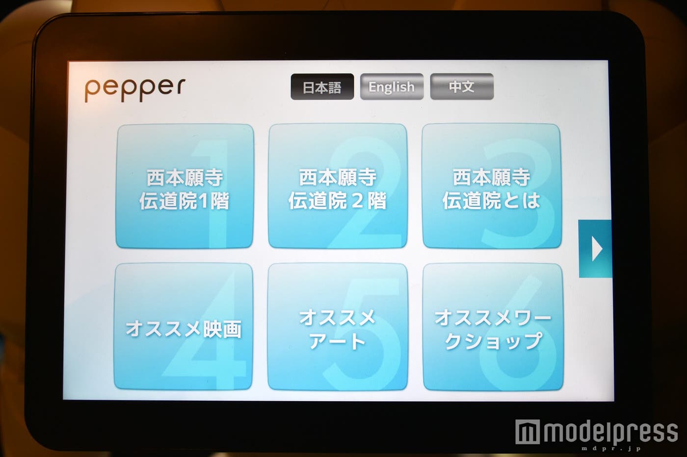 3ヶ国語から選ぶことができる(C)モデルプレス
