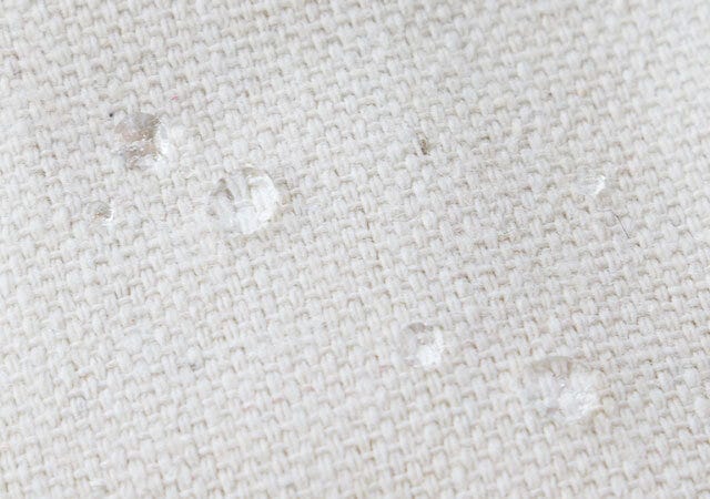 デイリークリップ インテリアバッグ ムック本 ムック 付録 人気 おすすめ オススメ 宝島社 宝島 レビュー 便利 優秀 当たり 最高 2023 デイリークリップ インテリアバッグ daily