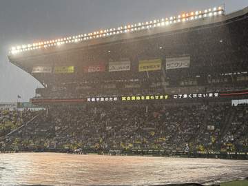 阪神－中日は開始遅延 甲子園、雨脚強まり再び内野にシート