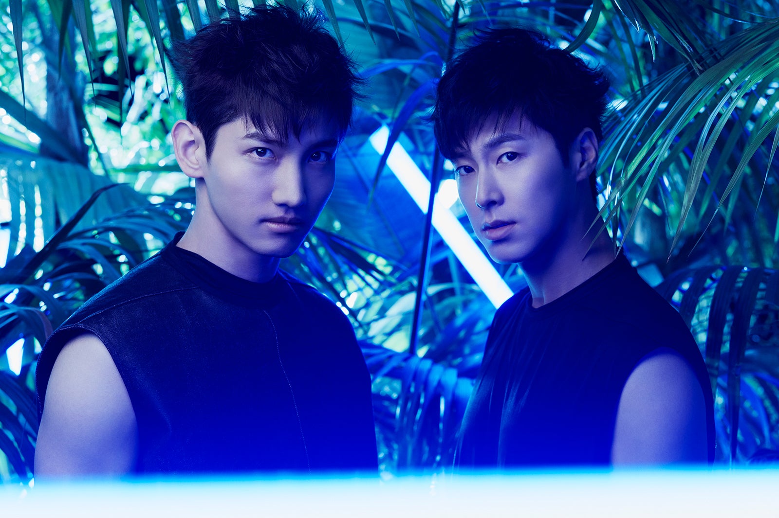 東方神起（提供写真）