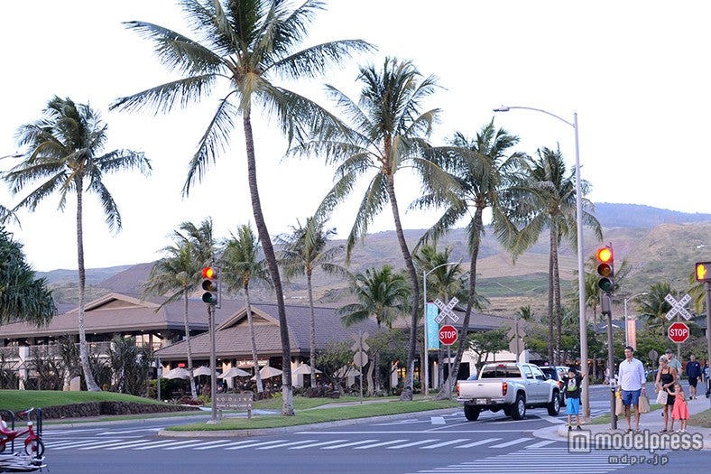 徒歩5分の場所にある「コオリナ・ステーション」