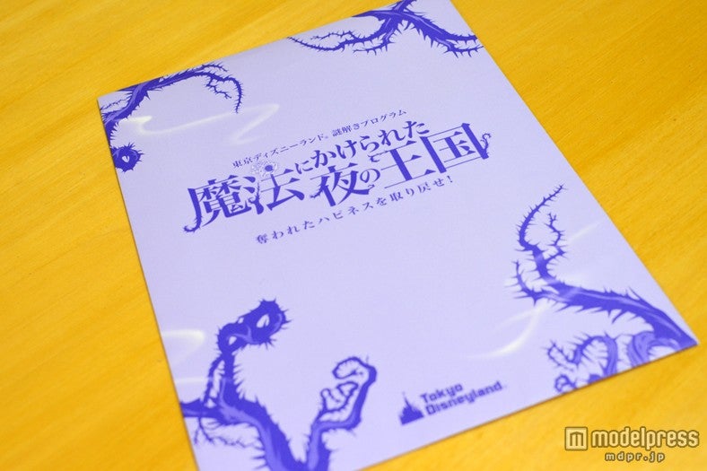 初の謎解きプログラム「魔法にかけられた夜の王国　奪われたハピネスを取り戻せ！」