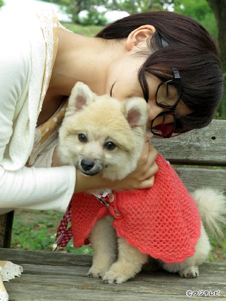 平泉成が声を務めるマロン/ドラマ「山田くんと7人の魔女」第3話より