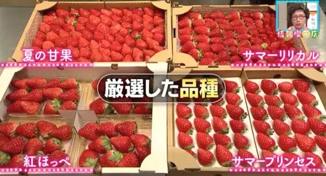 オープン前から大行列！超高価格でも1度は食べてみたい「ショートケーキ」