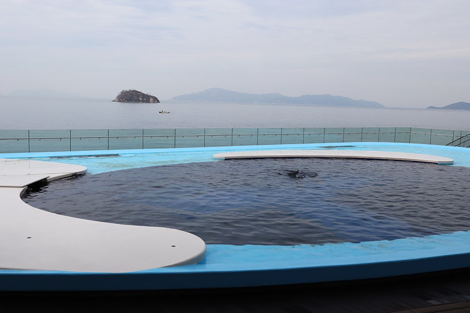 イルカプール／画像提供：四国水族館開発