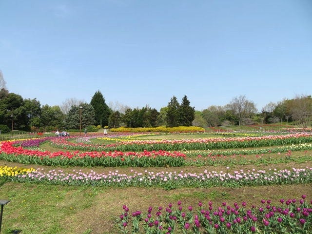 馬見丘陵公園