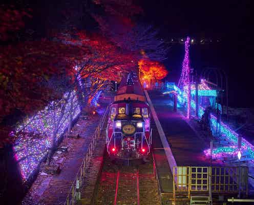 「嵯峨野トロッコ列車」が光の幻想列車に! 車窓から沿線ライトアップ&イルミを眺める感動体験