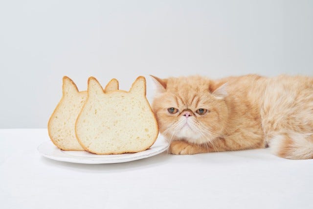 【2月22日は“ねこの日”】大丸京都店・オンライン限定で買える「ねこねこ食パン」