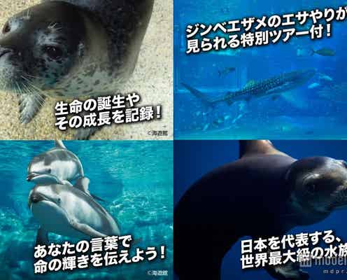 動物好きにはたまらない「激レア水族館バイト」が話題に