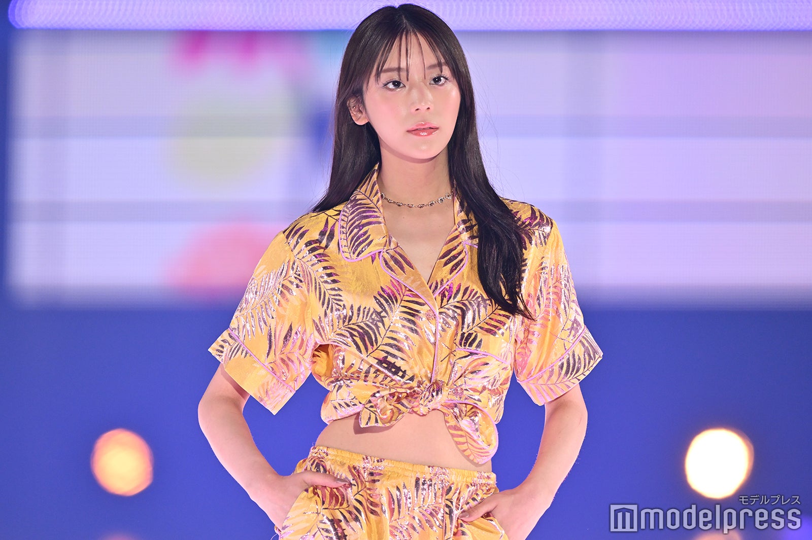 貴島明日香 2024年 年賀状 貴島明日香 2024年 年賀状オンライン ショッピング 通販