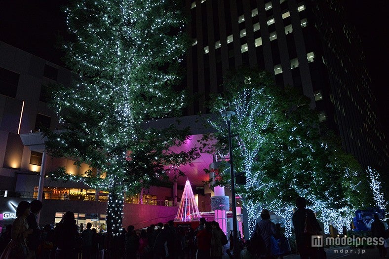 イルミネーションの様子