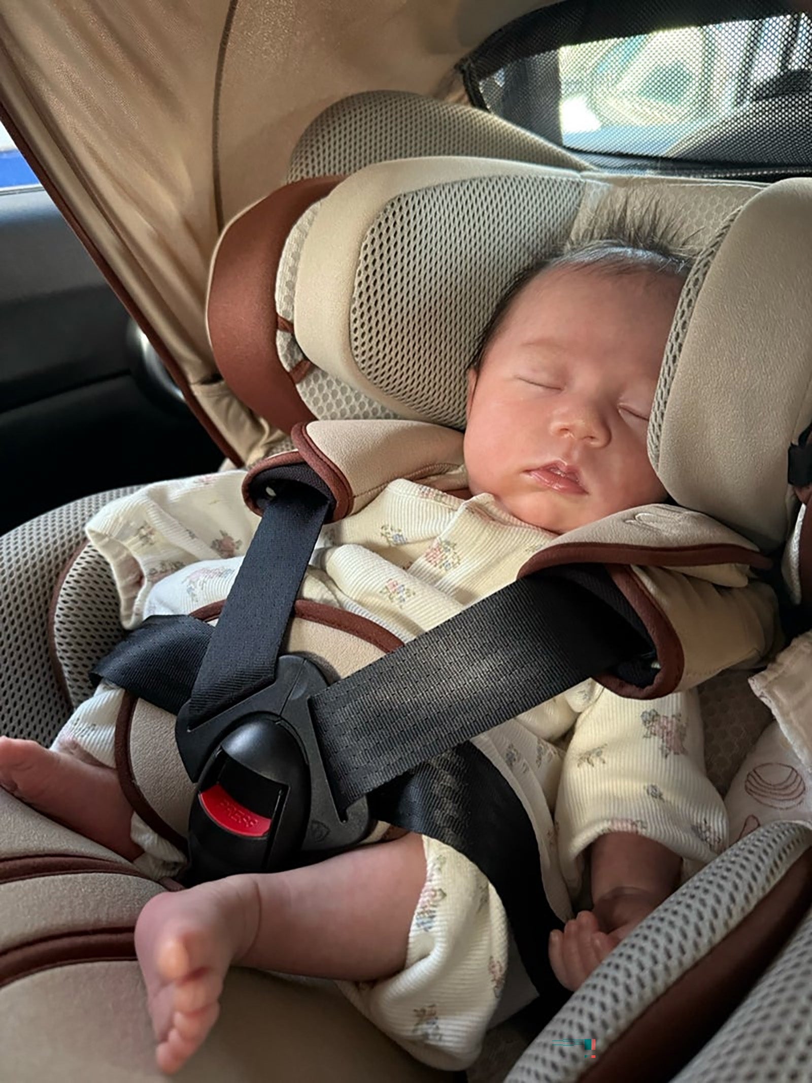 山本圭壱ブログより