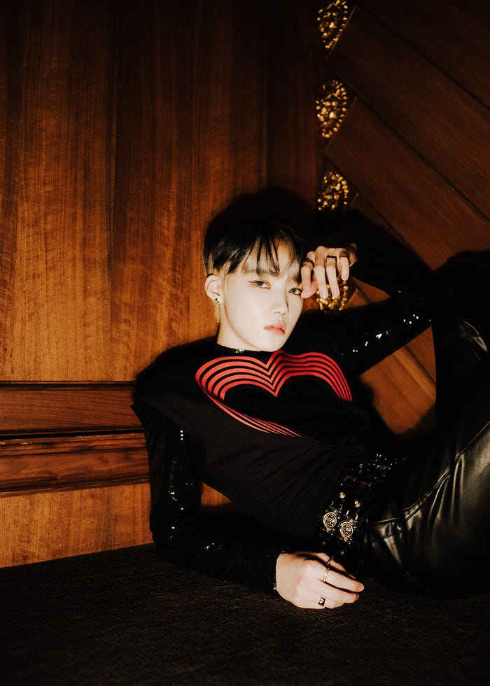 ニュー (提供写真)