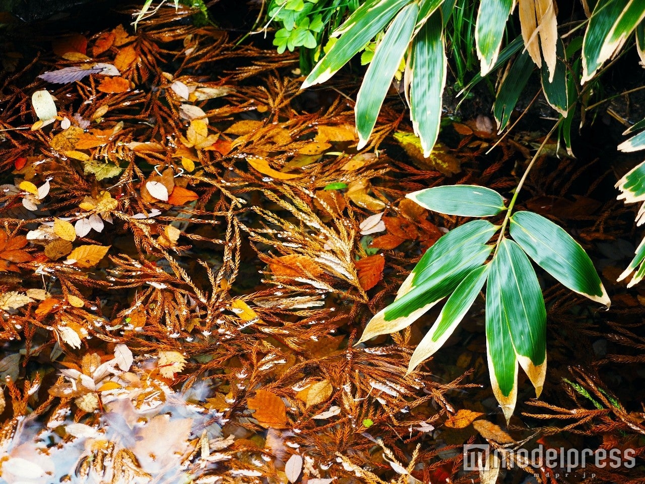 AIKU写真展「瞬間の色～愛～」