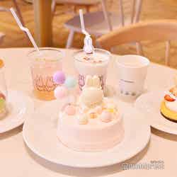 エブリデイ ・セレブレーションキッチン/ミッフィー・ワンダースクエア(C)モデルプレス