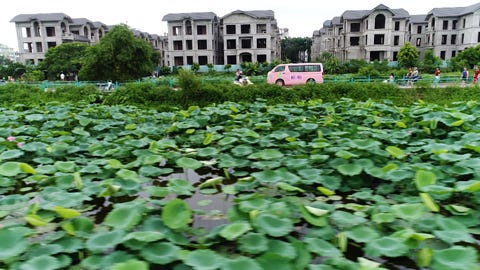 番組の様子(C)フジテレビ