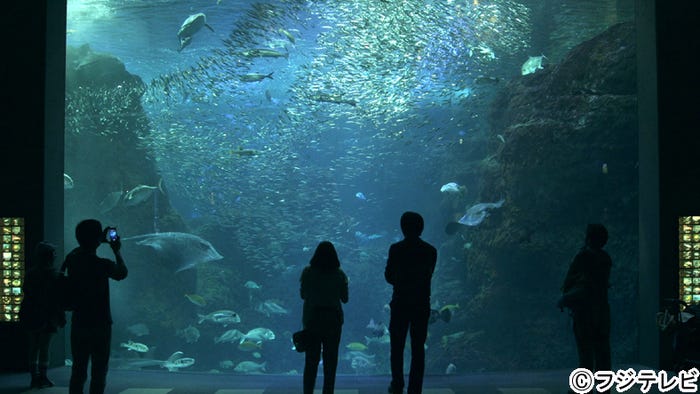 近藤あや、岩永徹也/6月7日放送回より