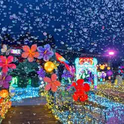 伊豆高原グランイルミ過去の様子/提供画像