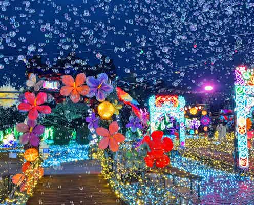 伊豆ぐらんぱる公園で体験型イルミネーション、11月7日から “龍の大冒険”コンセプトに新たな演出