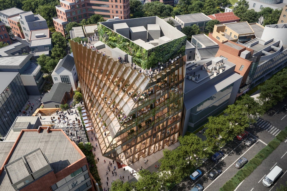 新生「原宿クエスト」（提供画像）