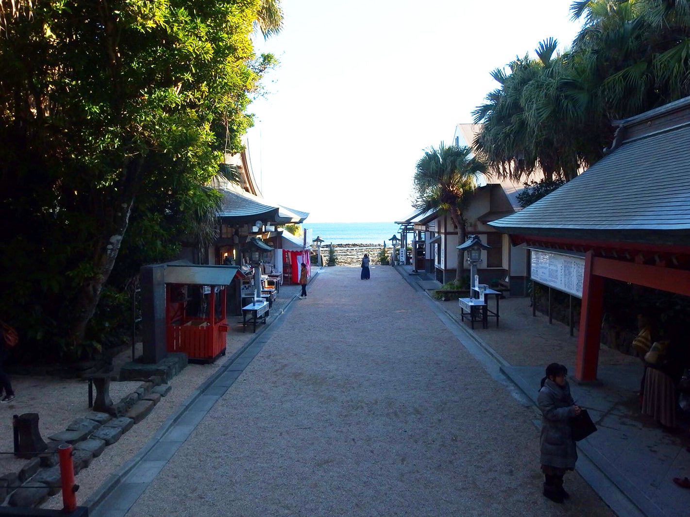 青島（提供写真）