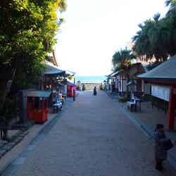 青島(提供写真)