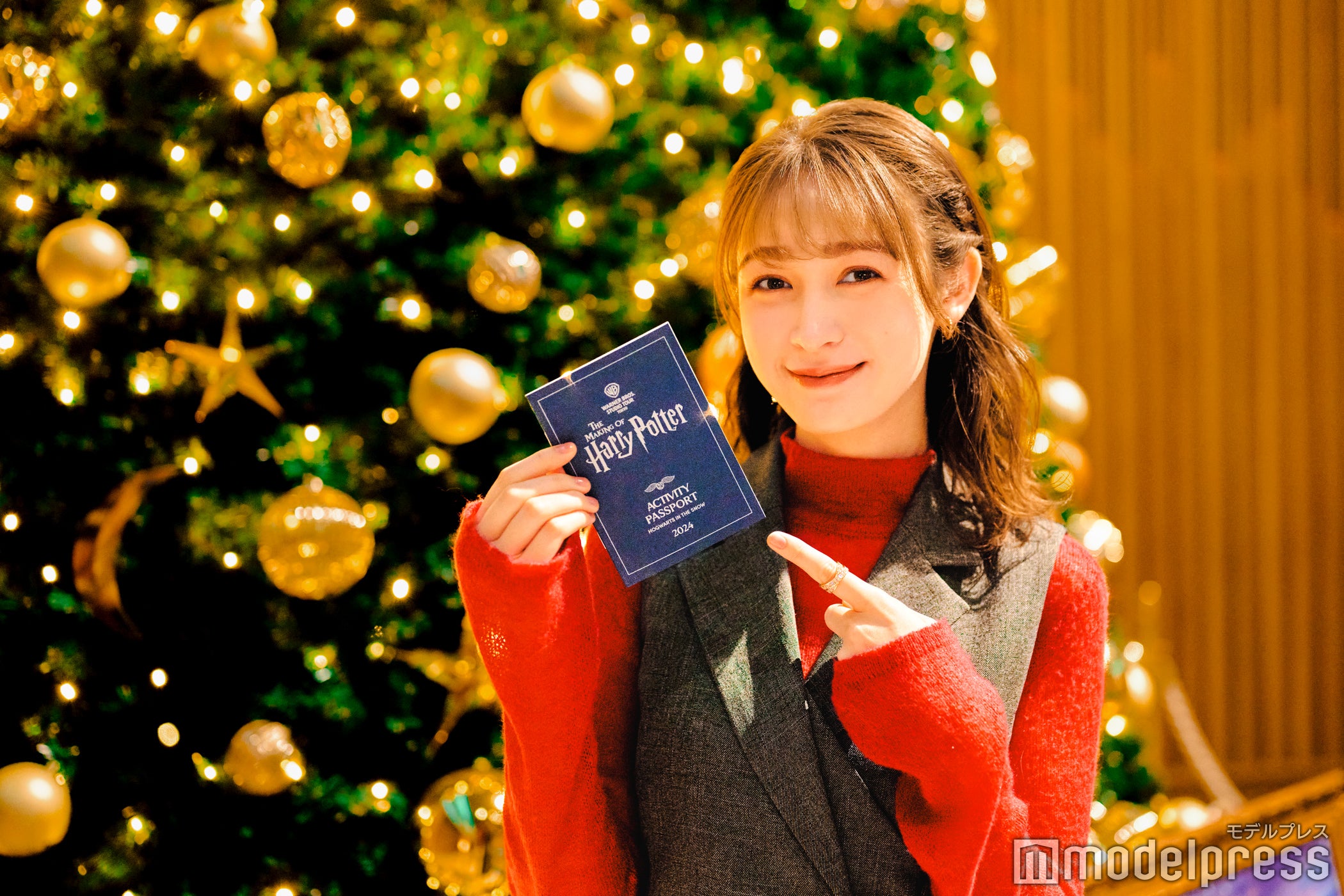 「ホグワーツ・イン・ザ・スノー」限定でもらえるパスポート（C）モデルプレス