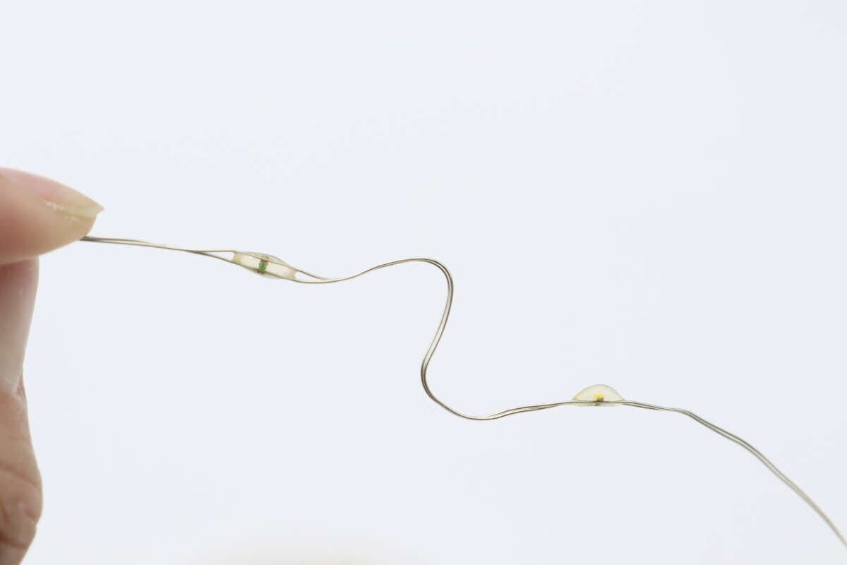 ワイヤーライト(60LEDs、ウォームホワイト) ワイヤーの細さ ワイヤーライト(60LEDs、ウォームホワイト) ワイヤーの細さ