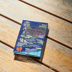 石垣いちごの刺繍がかわいい(C)モデルプレス