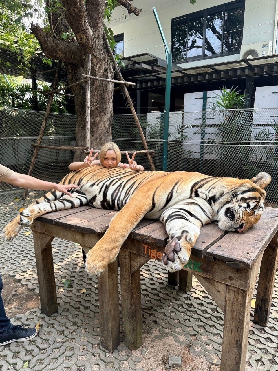 ギャップも彼女の魅力（提供写真）