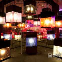 「Andonrium(行灯水槽)」