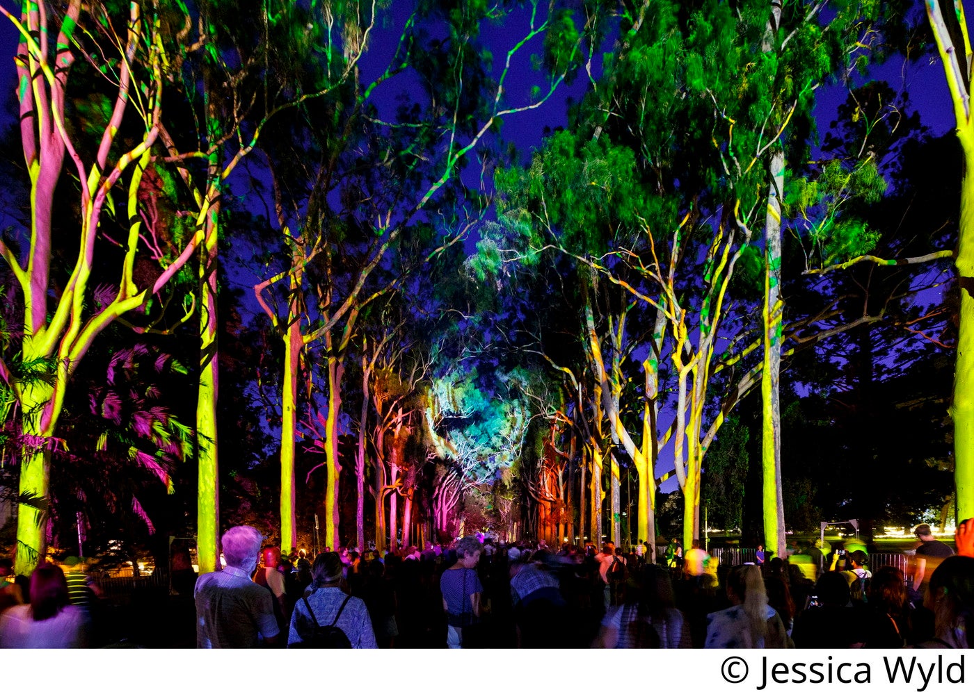 豪パースで新ナイトフェス「EverNow（エバーナウ）」光・音楽・ダンスなどが彩る幻想的な世界