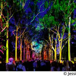 豪パースで新ナイトフェス「EverNow(エバーナウ)」光・音楽・ダンスなどが彩る幻想的な世界