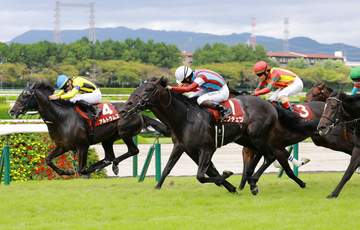 神戸新聞杯2着のアルトラムスは優先出走権を獲得した菊花賞を視野に