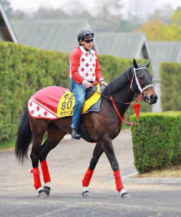 【阪神牝馬S】ラヴァンダ 中村師は淡々「攻め馬はいつも通り動いています」